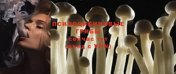 трава Беломорск