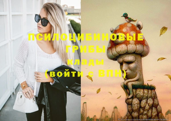 твердый Белоозёрский