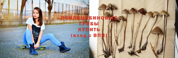 твердый Белоозёрский